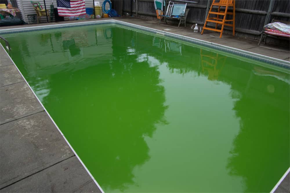 pool is green when opening